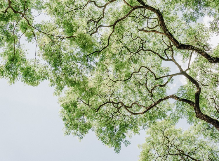 Photo 735651